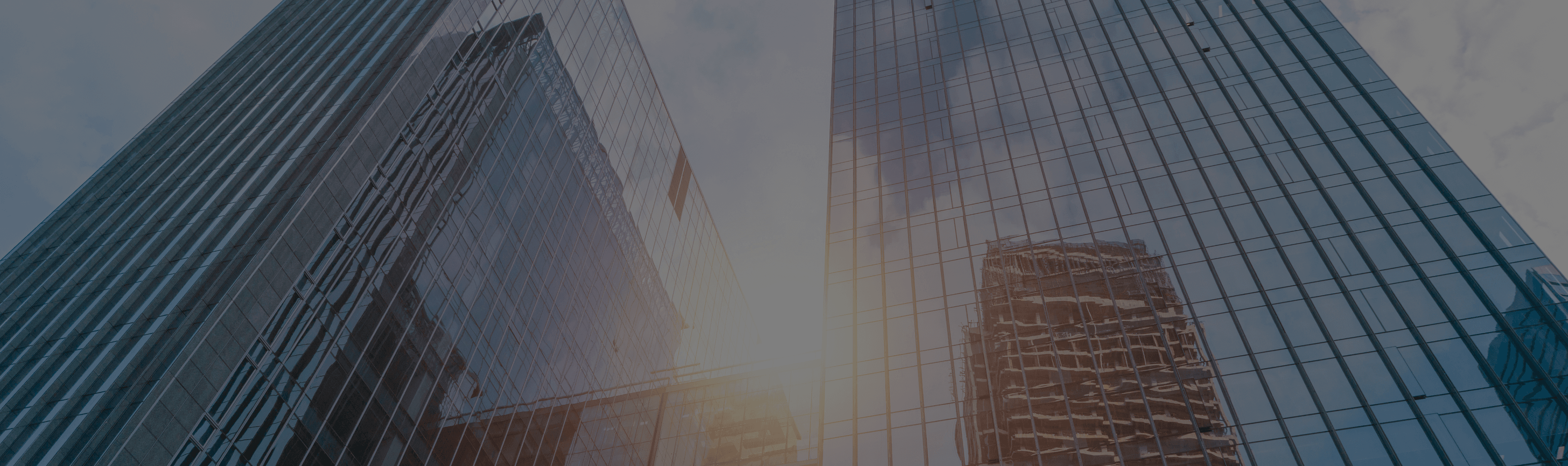 메인 섹션8 배경 이미지